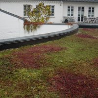 Flachdach